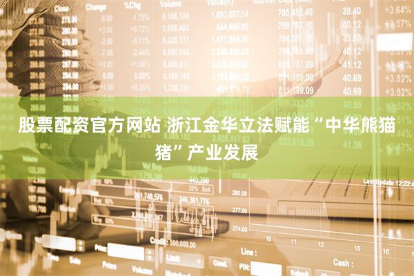 股票配资官方网站 浙江金华立法赋能“中华熊猫猪”产业发展