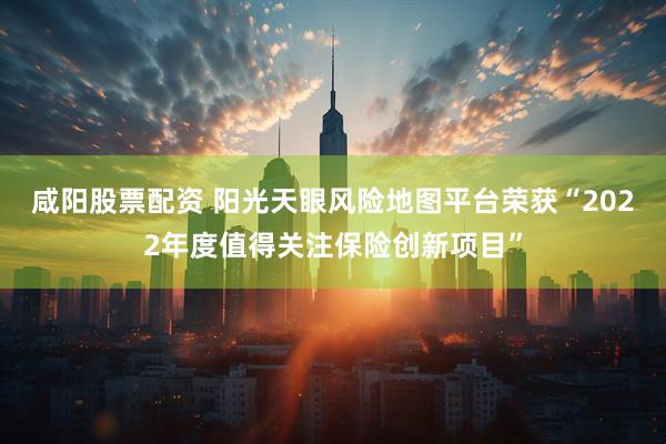 咸阳股票配资 阳光天眼风险地图平台荣获“2022年度值得关注保险创新项目”